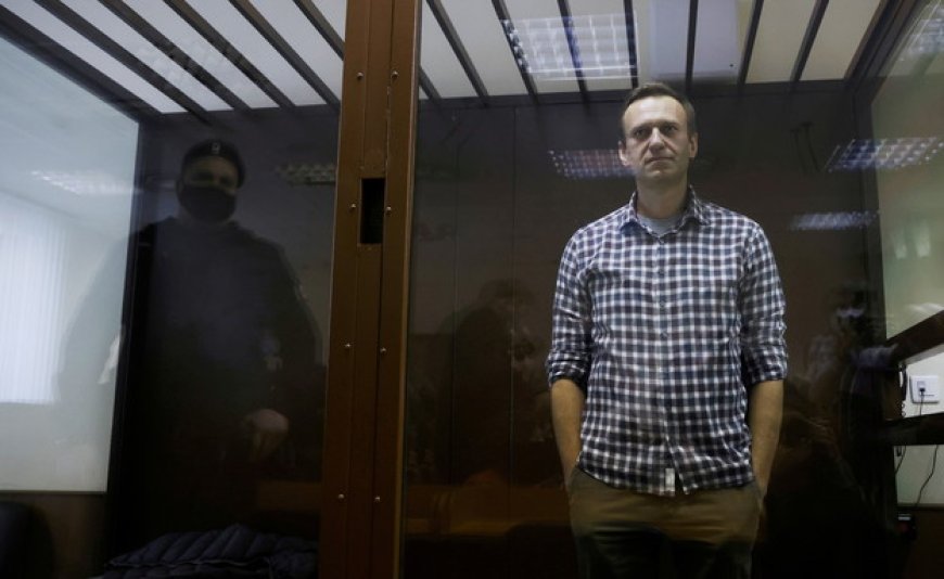 בארצות הברית מעריכים: פוטין לא הורה לרצוח את נבלני